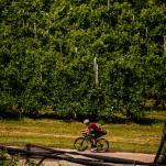 Die TripleAltTour - Giro, Tour & Vuelta unsupported