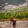 Die TripleAltTour - Giro, Tour & Vuelta unsupported