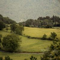 Die TripleAltTour - Giro, Tour & Vuelta unsupported