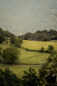 Die TripleAltTour - Giro, Tour & Vuelta unsupported