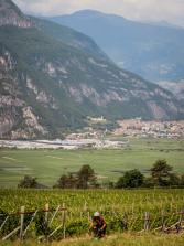 Die TripleAltTour - Giro, Tour & Vuelta unsupported