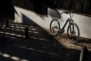 Detailansicht