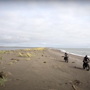 Filmtipp: The Friendly Arctic