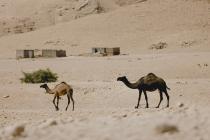 Biken in Jordanien