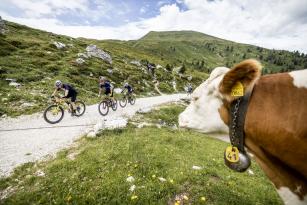 Transalps: Strecken fixiert