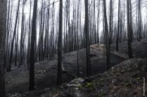 Banff Tour 2023