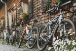 Bikeboard Auf Achse: Into The Wold