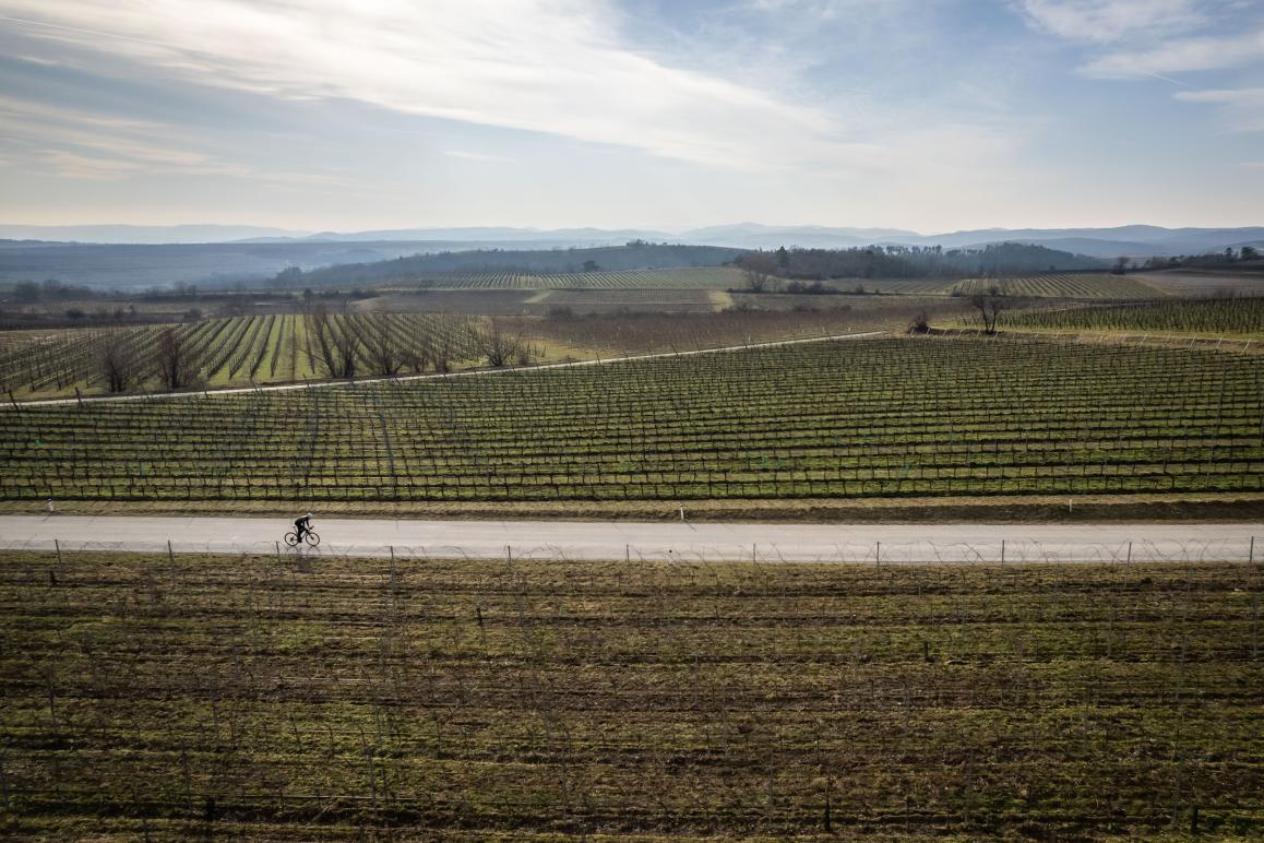 KTM Revelator Alto Exonic 2023 Test
