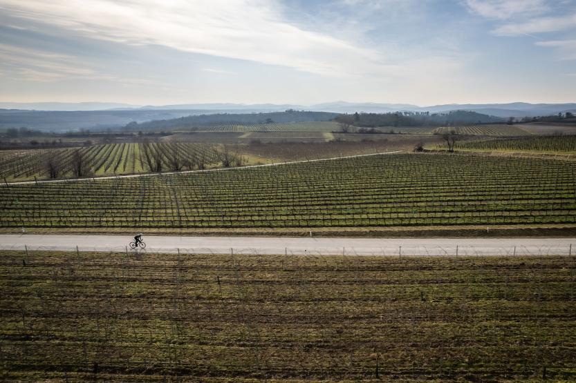 KTM Revelator Alto Exonic 2023 Test