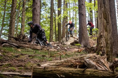 Das 1 x 1 der Federung mit Manitou & Co.