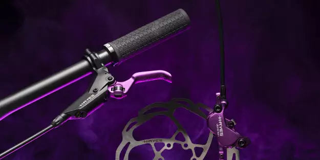 Hayes Dominion A4 Purple
