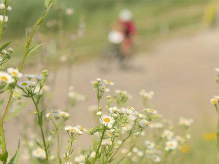 Vorschau: Grazer Bike Opening und Bike Festival