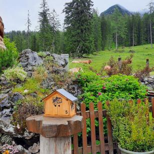 Salzkammergut BergeSeen eTrail