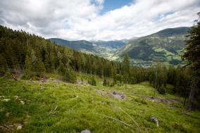 Flowtrail Bad Kleinkirchheim.