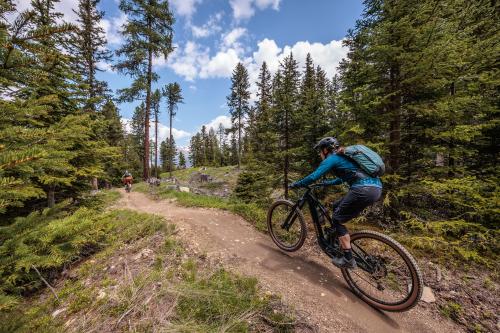 Jetzt auch aus Alu: Trek Fuel EX-e 8 XT im Test