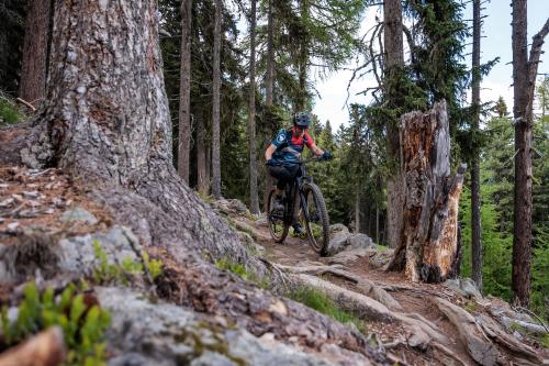 Jetzt auch aus Alu: Trek Fuel EX-e 8 XT im Test