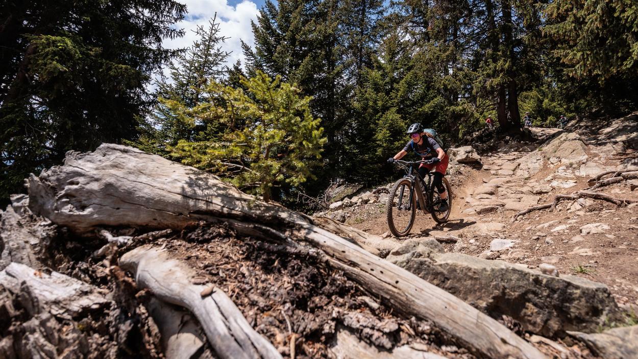 Jetzt auch aus Alu: Trek Fuel EX-e 8 XT im Test