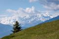 3-Länder Enduro Trails: im MTB-Paradies Reschenpass  