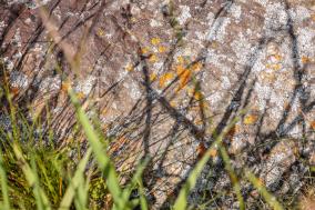 3-Länder Enduro Trails: im MTB-Paradies Reschenpass  