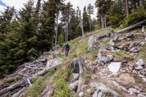 3-Länder Enduro Trails: im MTB-Paradies Reschenpass  