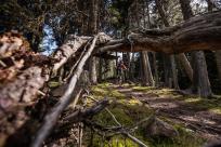3-Länder Enduro Trails: im MTB-Paradies Reschenpass  