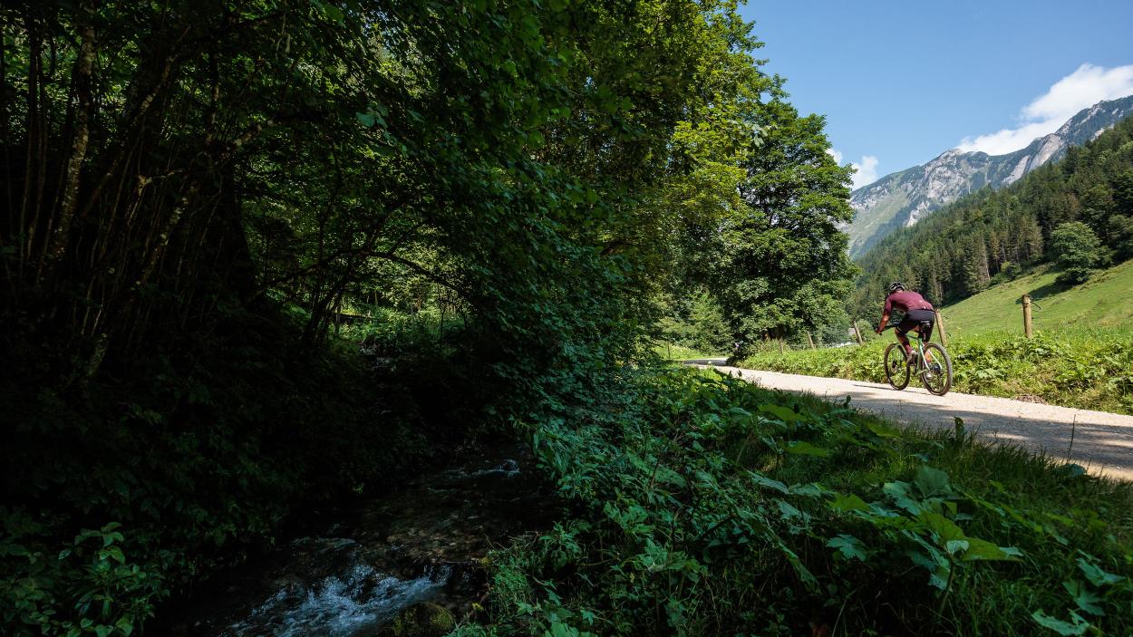 Rose Backroad AL Plus