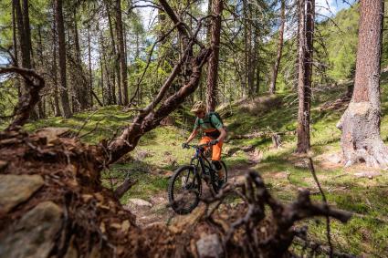 Endura MT500 Burner Lite und Singletrack