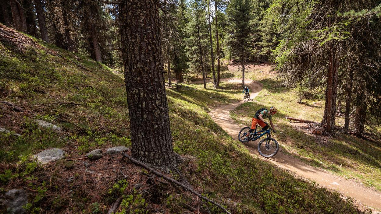 Endura MT500 Burner Lite und Singletrack