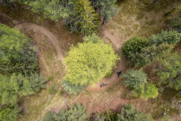 Endura MT500 Burner Lite und Singletrack