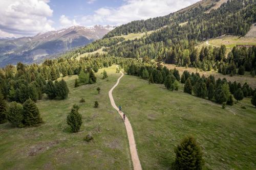Endura MT500 Burner Lite und Singletrack
