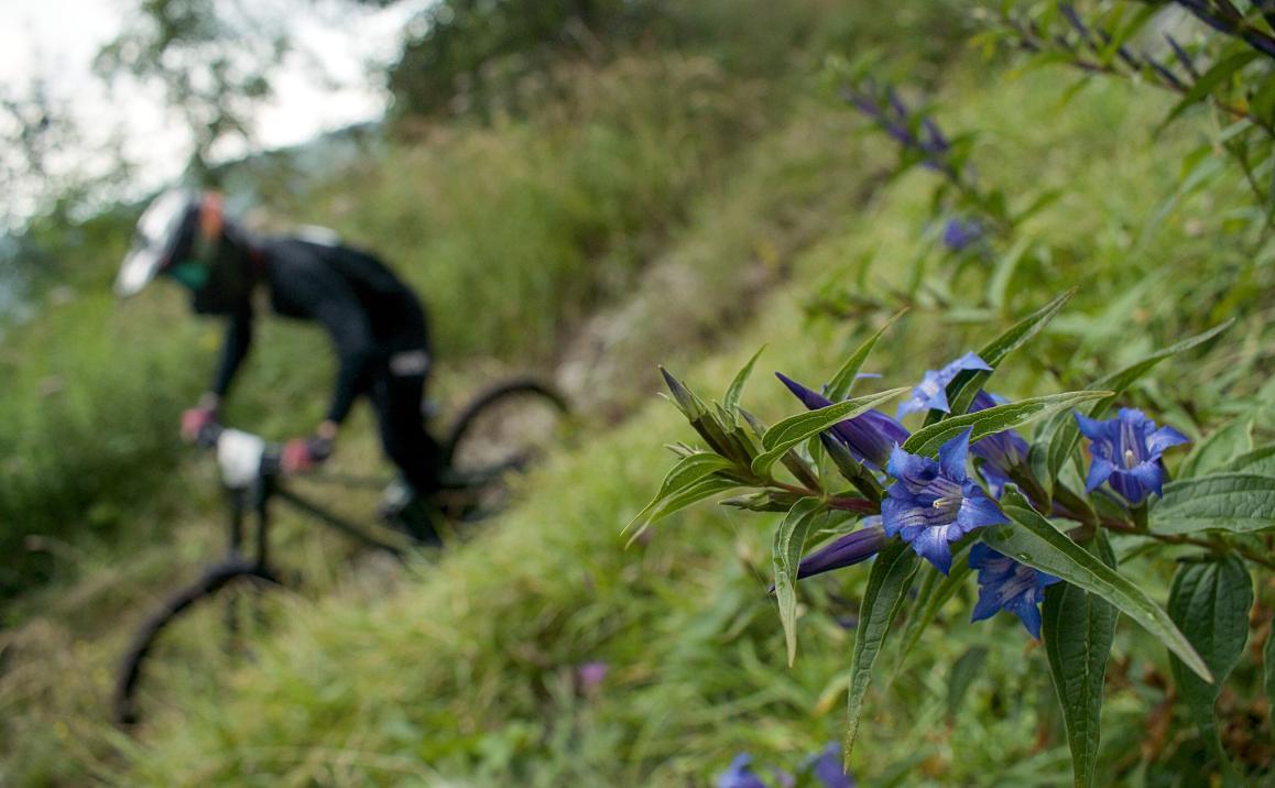 AAGS Schöckl Downhill Bildbericht