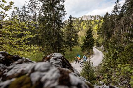 Umfrage: MTB Traunsee