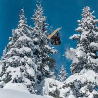 EOFT 2023/24