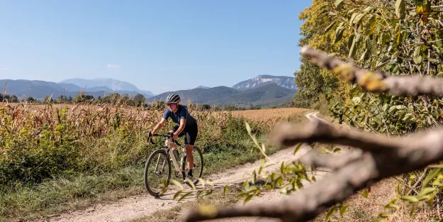 KTM X-Strada Prime im Test