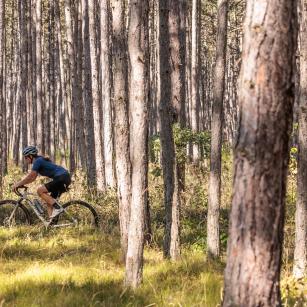 KTM X-Strada Prime im Test