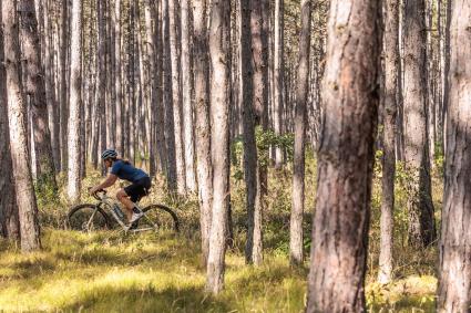 KTM X-Strada Prime im Test