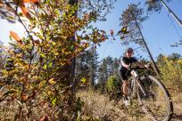 KTM X-Strada Prime im Test