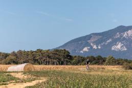 KTM X-Strada Prime im Test