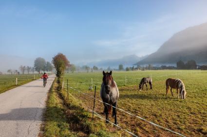Bike & Hike in Maishofen