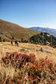Bike & Hike in Maishofen