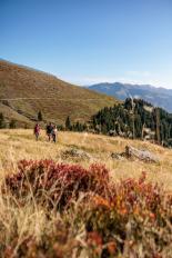 Bike & Hike in Maishofen