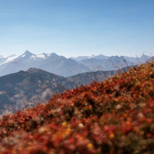 Bike & Hike in Maishofen