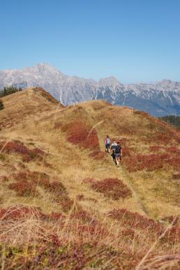 Bike & Hike in Maishofen