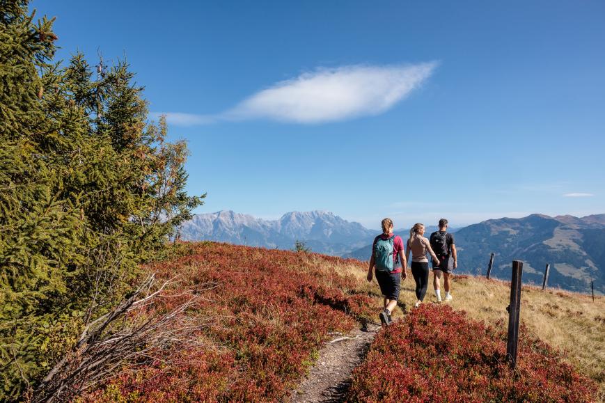 Bike & Hike in Maishofen