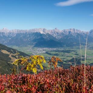 Bike & Hike in Maishofen