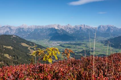 Bike & Hike in Maishofen