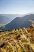 Bike & Hike in Maishofen