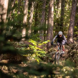 Orbea Wild M-Team MyO Showroom