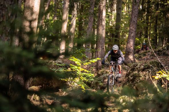 Orbea Wild M-Team MyO Showroom