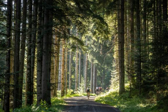 Lebewohl, KitzAlpBike!